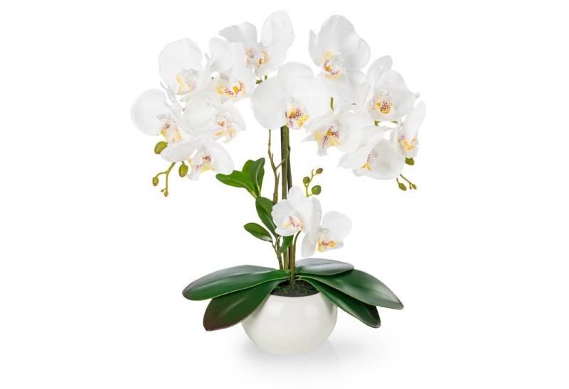 Kunstorchidee PASCH® Orchidee künstlich wie echt (40cm) in Hochglanz-Keramiktopf Orchidee, PASCH von PASCH