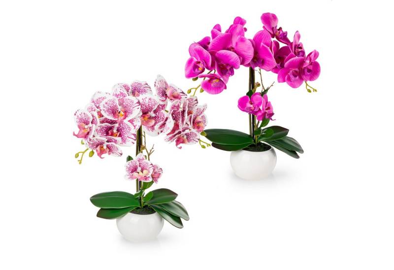 Kunstorchidee PASCH® Orchidee künstlich wie echt (40cm) in Hochglanz-Keramiktopf Orchidee, PASCH von PASCH