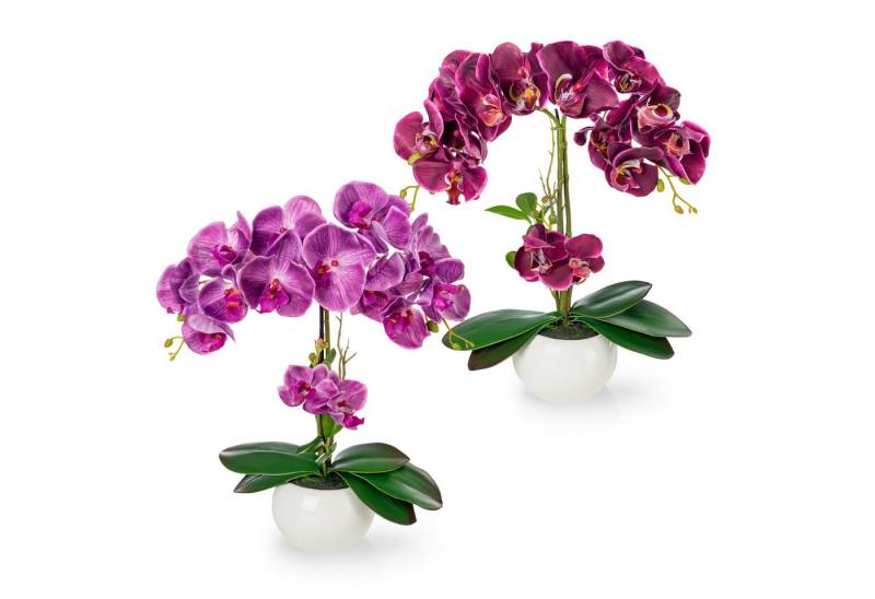 Kunstorchidee PASCH® Orchidee künstlich wie echt (40cm) in Hochglanz-Keramiktopf Orchidee, PASCH von PASCH