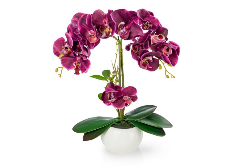 Kunstorchidee PASCH® Orchidee künstlich wie echt (40cm) in Hochglanz-Keramiktopf Orchidee, PASCH von PASCH