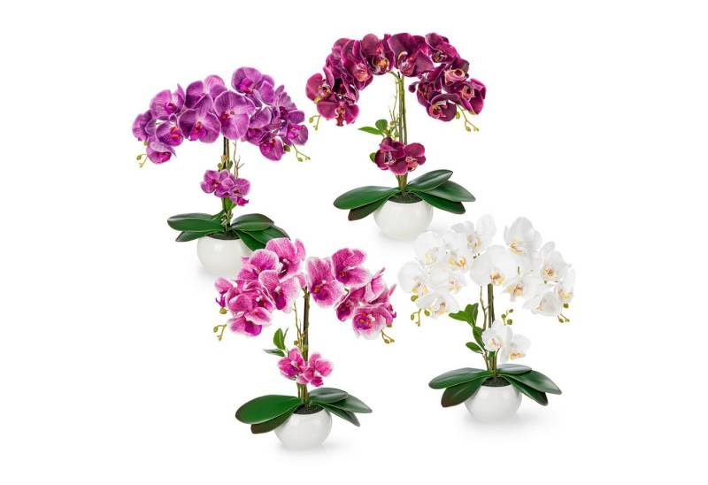 Kunstorchidee PASCH® Orchidee künstlich wie echt (40cm) in Hochglanz-Keramiktopf Orchidee, PASCH von PASCH