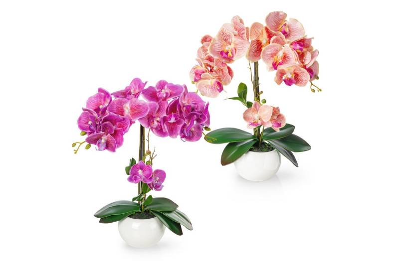 Kunstorchidee PASCH® Orchidee künstlich wie echt (40cm) in Hochglanz-Keramiktopf Orchidee, PASCH von PASCH