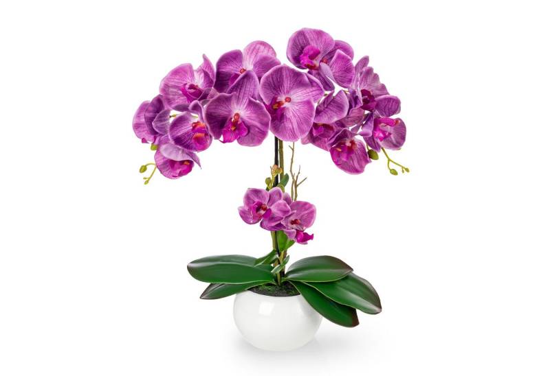 Kunstorchidee PASCH® Orchidee künstlich wie echt (40cm) in Hochglanz-Keramiktopf Orchidee, PASCH von PASCH