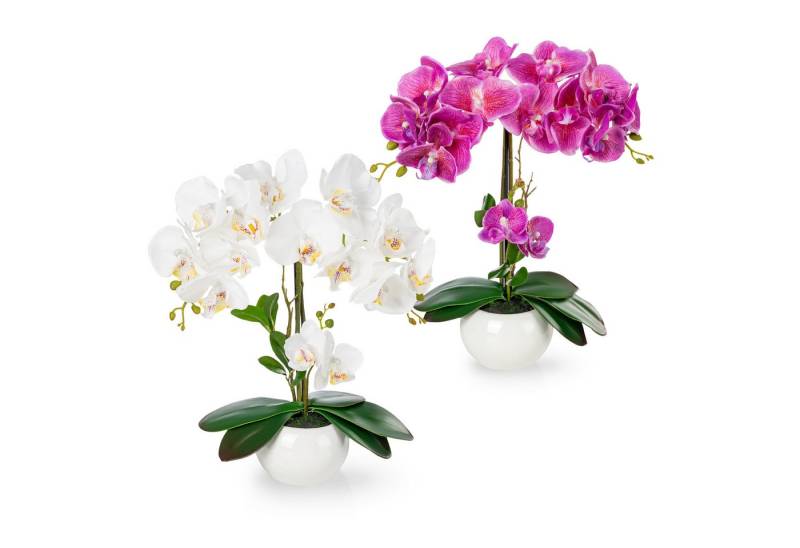Kunstorchidee PASCH® Orchidee künstlich wie echt (40cm) in Hochglanz-Keramiktopf Orchidee, PASCH von PASCH