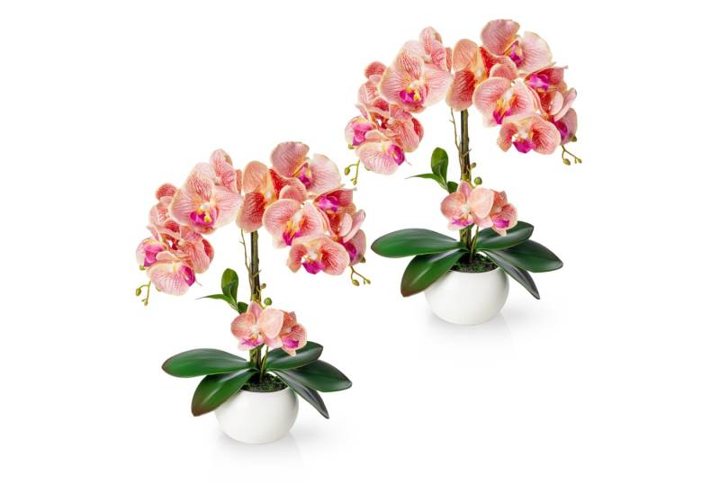 Kunstorchidee PASCH® Orchidee künstlich wie echt (40cm) in Hochglanz-Keramiktopf Orchidee, PASCH von PASCH