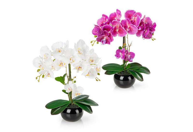 Kunstorchidee PASCH® Orchidee künstlich wie echt (40cm) in Hochglanz-Keramiktopf Orchidee, PASCH von PASCH