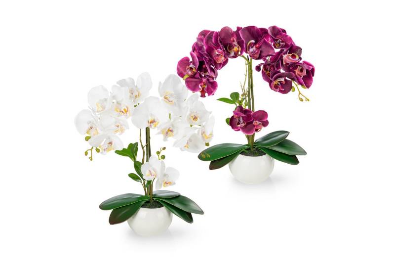 Kunstorchidee PASCH® Orchidee künstlich wie echt (40cm) in Hochglanz-Keramiktopf Orchidee, PASCH von PASCH