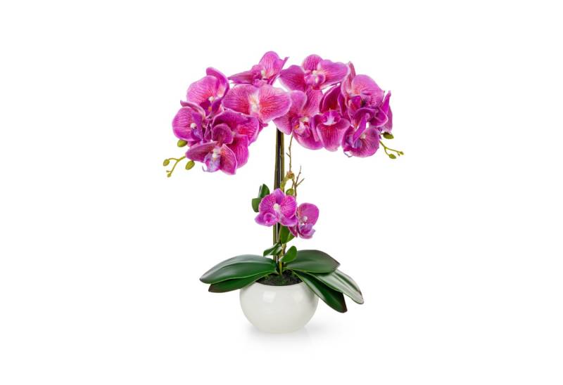 Kunstorchidee PASCH® Orchidee künstlich wie echt (40cm) in Hochglanz-Keramiktopf Orchidee, PASCH von PASCH