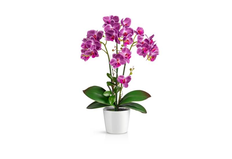 Kunstorchidee PASCH® Orchidee künstlich wie echt (46cm) in Hochglanz-Keramiktopf Orchidee, PASCH, Real Touch von PASCH
