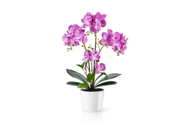 Kunstorchidee PASCH® Orchidee künstlich wie echt (46cm) in Hochglanz-Keramiktopf Orchidee, PASCH, Real Touch von PASCH
