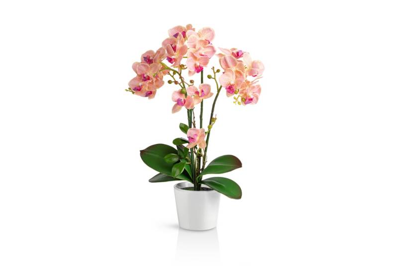 Kunstorchidee PASCH® Orchidee künstlich wie echt (46cm) in Hochglanz-Keramiktopf Orchidee, PASCH, Real Touch von PASCH