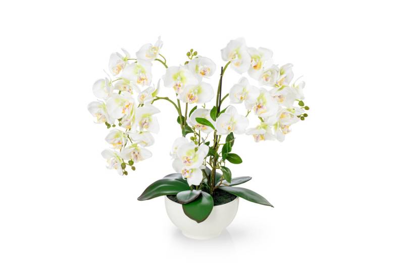 Kunstorchidee PASCH® XXL Orchidee künstlich wie echt (56cm) in Hochglanz-Keramiktopf Orchidee, PASCH von PASCH