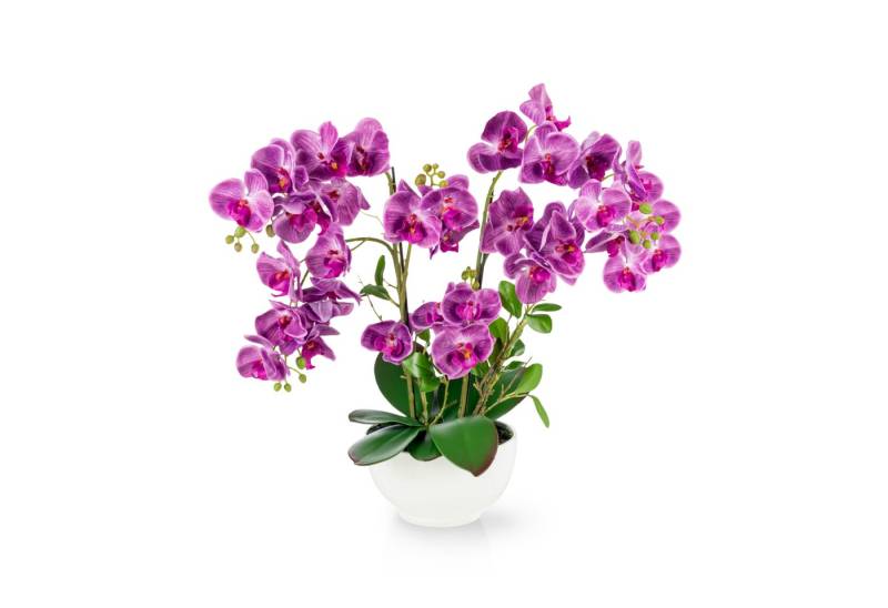Kunstorchidee PASCH® XXL Orchidee künstlich wie echt (56cm) in Hochglanz-Keramiktopf Orchidee, PASCH von PASCH
