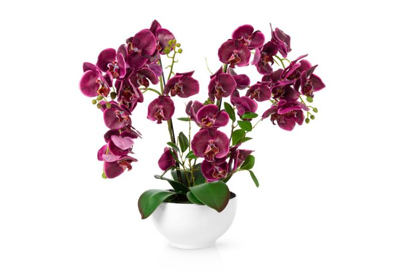 Kunstorchidee PASCH® XXL Orchidee künstlich wie echt (56cm) in Hochglanz-Keramiktopf Orchidee, PASCH von PASCH