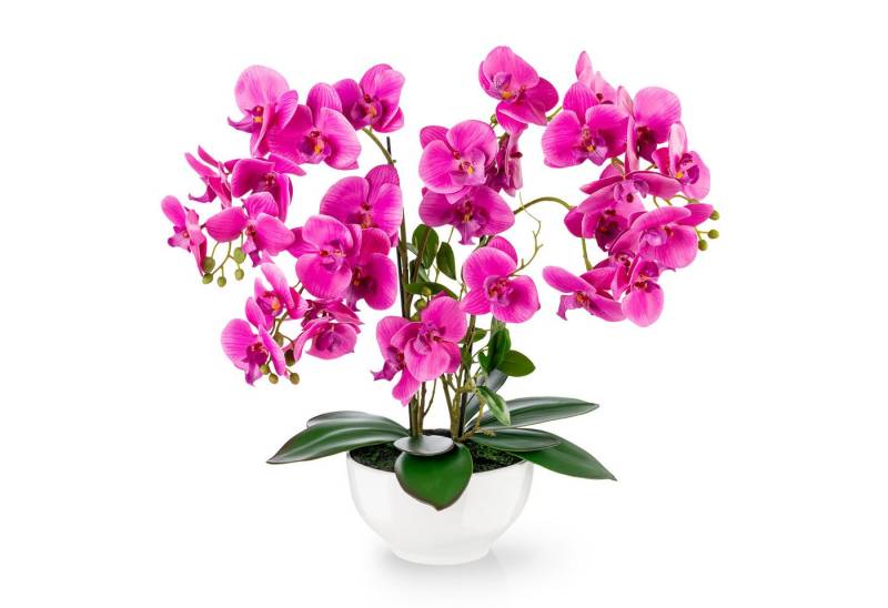 Kunstorchidee PASCH® XXL Orchidee künstlich wie echt (56cm) in Hochglanz-Keramiktopf Orchidee, PASCH von PASCH