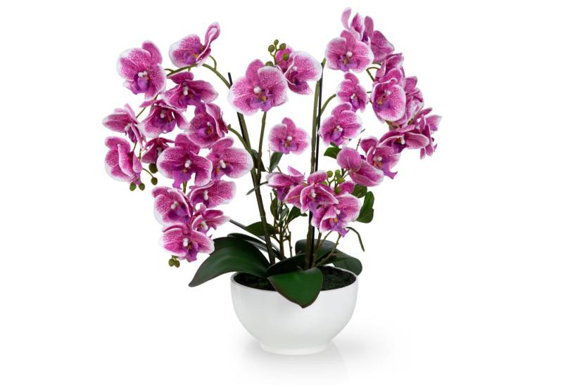 Kunstorchidee PASCH® XXL Orchidee künstlich wie echt (56cm) in Hochglanz-Keramiktopf Orchidee, PASCH von PASCH