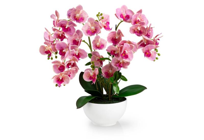 Kunstorchidee PASCH® XXL Orchidee künstlich wie echt (56cm) in Hochglanz-Keramiktopf Orchidee, PASCH von PASCH