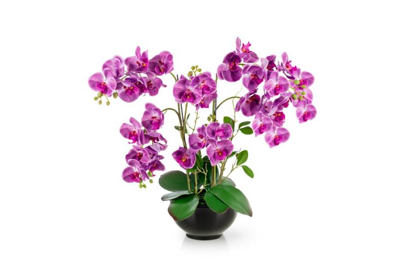 Kunstorchidee PASCH® XXL Orchidee künstlich wie echt (56cm) in Hochglanz-Keramiktopf Orchidee, PASCH von PASCH