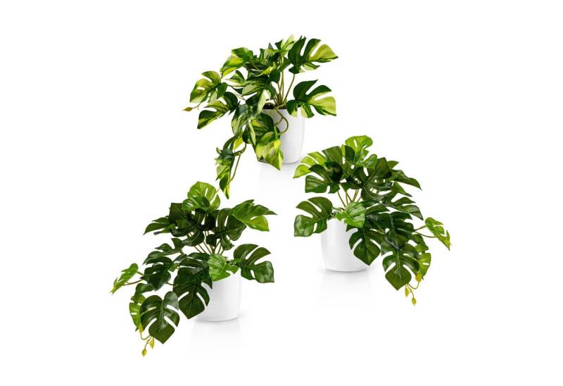 Kunstpflanze Künstliche hängepflanzen im Keramiktopf, Kunstpflanze hängend Efeu, Eukalyptus, Monstera, Zebrapflanze, PASCH von PASCH
