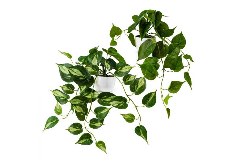 Kunstpflanze Künstliche hängepflanzen im Keramiktopf, Kunstpflanze hängend Efeu, Eukalyptus, Monstera, Zebrapflanze, PASCH von PASCH