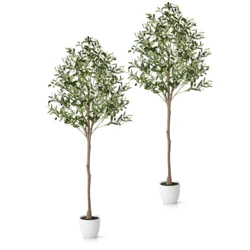 PASCH® 2 x Künstlicher Olivenbaum (180cm) - Stilvoll & Naturgetreu | Künstliche Pflanzen groß | Kunstpflanzen groß: Olive Tree | Olivenbaum künstlich groß für EIN mediterranes Ambiente von PASCH