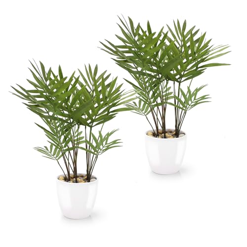 PASCH® 2er Set Kunstpalme Areca (25cm) in weißen Keramiktöpfen: Kunstpflanzen wie echt | Künstliche Pflanzen im Topf | Fake Plant | Palme künstlich | Kunstblumen im Topf | künstliche Palme klein von PASCH