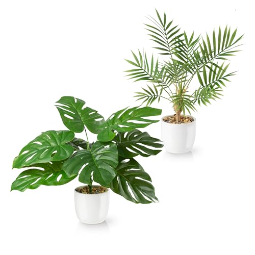 PASCH® 2er Set Monstera künstlich und Areca Kunstpalme (35cm) in weißen Keramiktöpfen: Kunstpflanzen wie echt | Künstliche Pflanzen im Topf | Fake Plant + Palme künstlich | Kunstblumen im Topf von PASCH