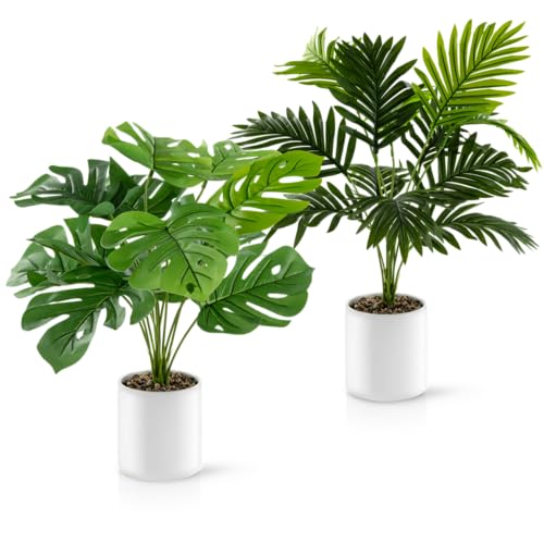 PASCH® 2er Set Monstera künstlich und Areca Kunstpalme (60cm) in weißen Keramiktöpfen: Kunstpflanzen groß | Kunstpflanzen wie echt | Fake Plant | Künstliche Pflanzen im Topf von PASCH