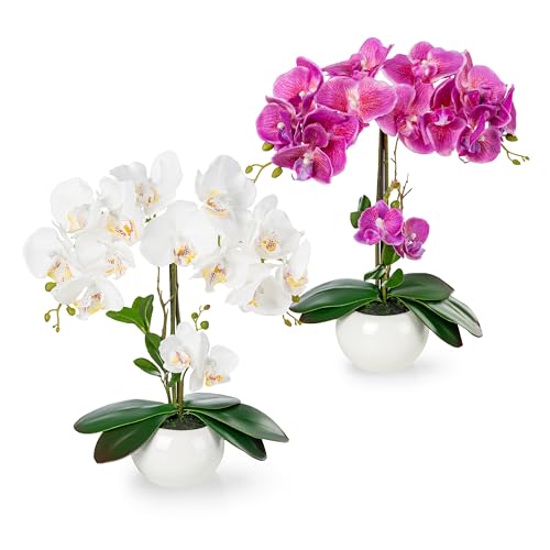 PASCH® 2er Set Orchideen künstlich in Hochglanz-Keramiktöpfen (40cm) | Kunstblumen im Topf | Kunstblumen wie echt | künstliche Orchideen im Topf | künstliche Blumen im Topf | Kunstblume Orchidee von PASCH