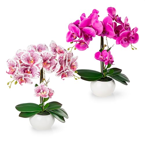 PASCH® 2er Set Orchideen künstlich in Hochglanz-Keramiktöpfen (40cm) | Kunstblumen im Topf | Kunstblumen wie echt | künstliche Orchideen im Topf | künstliche Blumen im Topf | Kunstblume Orchidee von PASCH