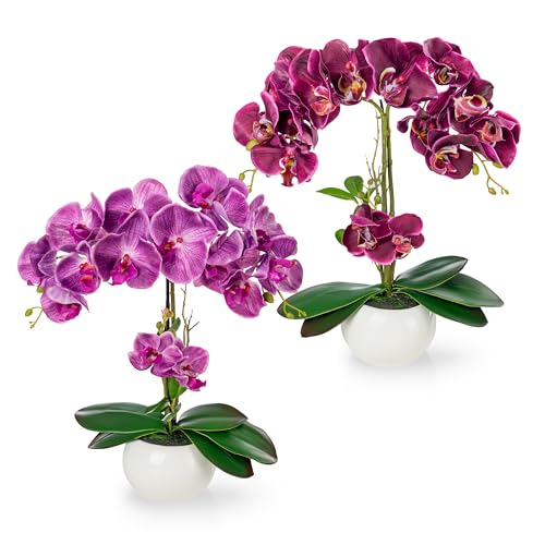 PASCH® 2er Set Orchideen künstlich in Hochglanz-Keramiktöpfen (40cm) | Kunstblumen im Topf | Kunstblumen wie echt | künstliche Orchideen im Topf | künstliche Blumen im Topf | Kunstblume Orchidee von PASCH