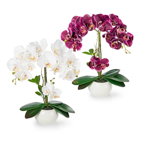 PASCH® 2er Set Orchideen künstlich in Hochglanz-Keramiktöpfen (40cm) | Kunstblumen im Topf | Kunstblumen wie echt | künstliche Orchideen im Topf | künstliche Blumen im Topf | Kunstblume Orchidee von PASCH