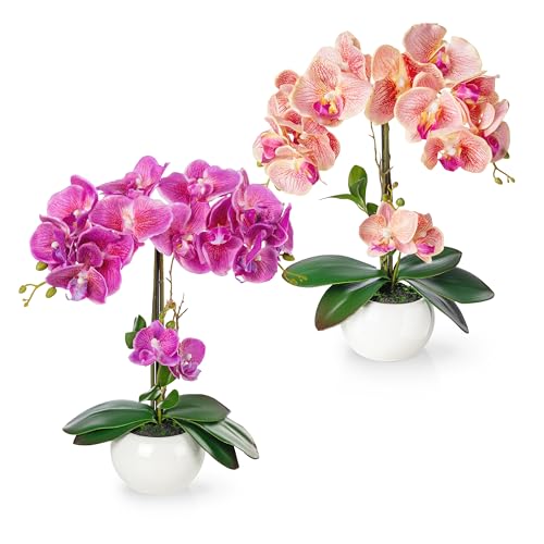 PASCH® 2er Set Orchideen künstlich in Hochglanz-Keramiktöpfen (40cm) | Kunstblumen im Topf | Kunstblumen wie echt | künstliche Orchideen im Topf | künstliche Blumen im Topf | Kunstblume Orchidee von PASCH