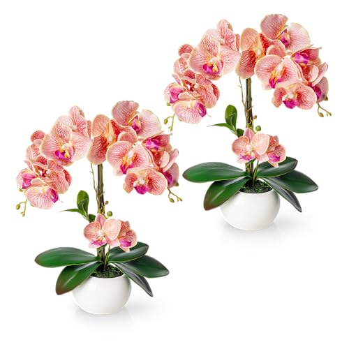 PASCH® 2er Set Orchideen künstlich in Hochglanz-Keramiktöpfen (40cm) | Kunstblumen im Topf | Kunstblumen wie echt | künstliche Orchideen im Topf | künstliche Blumen im Topf | Kunstblume Orchidee von PASCH