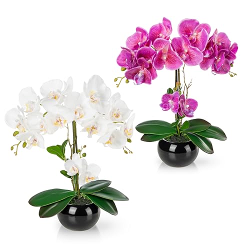PASCH® 2er Set Orchideen künstlich in Hochglanz-Keramiktöpfen (40cm) | Kunstblumen im Topf | Kunstblumen wie echt | künstliche Orchideen im Topf | künstliche Blumen im Topf | Kunstblume Orchidee von PASCH