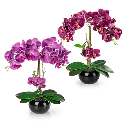 PASCH® 2er Set Künstliche Orchideen in Hochglanz-Keramiktöpfen (40cm) | Kunstblumen Wie Echt | Künstliche Blumen im Topf (Purpur-Lila/Schwarz) von PASCH