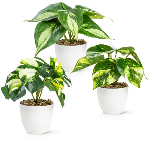 PASCH® 3er Set Kunstpflanzen wie echt (18cm) in bruchfesten Melamintöpfen | Kunstpflanzen im Topf | Künstliche Pflanzen im Topf | Kunstblumen Fake Plant von PASCH