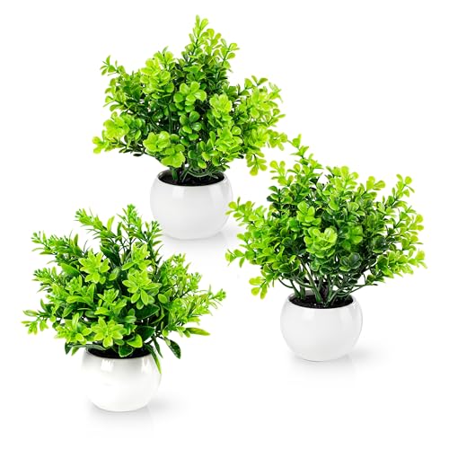 PASCH® 3er Set Kunstpflanzen wie echt (18cm) in weißen Keramiktöpfen | Kleine Kunstpflanzen im Topf | Künstliche Pflanzen im Topf | Mini Fake Plant | Kunstblumen im Topf | Kunstpflanze klein von PASCH