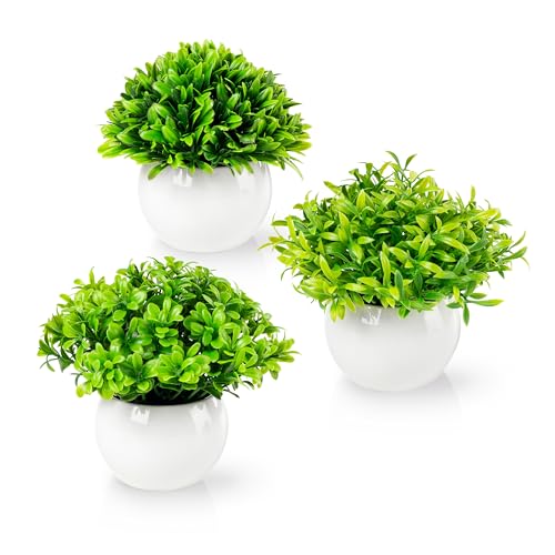 PASCH® 3er Set Mini Kunstpflanzen wie echt (13cm) in weißen Keramiktöpfen | Mini Buchsbaum künstlich | Künstliche Pflanzen im Topf | Fake Plant | Kunstblumen im Topf | Kunstpflanze klein von PASCH