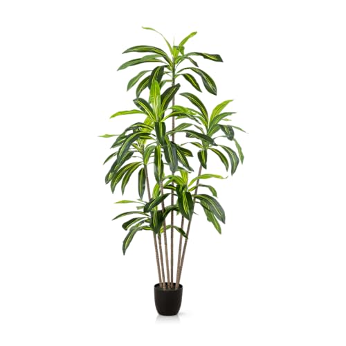 PASCH® Drachenbaum Kunstpalme groß (160 cm) - Langlebig & Naturgetreu | Realistische Kunstpflanzen groß | Künstliche Pflanzen groß | Palme künstlich | Künstliche Palme für natürliches Ambiente von PASCH