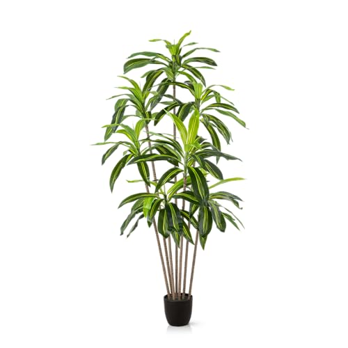 PASCH® Drachenbaum Kunstpalme groß (180 cm) - Langlebig & Naturgetreu | Realistische Kunstpflanzen groß | Künstliche Pflanzen groß | Palme künstlich | Künstliche Palme für natürliches Ambiente von PASCH