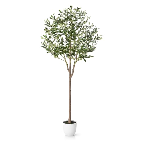 PASCH® Künstlicher Olivenbaum (150cm) - Stilvoll & Naturgetreu | Künstliche Pflanzen groß | Kunstpflanzen groß: Olive Tree | Olivenbaum künstlich groß für EIN mediterranes Ambiente von PASCH
