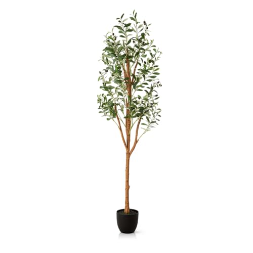 PASCH® Künstlicher Olivenbaum (150cm) - Stilvoll & Naturgetreu | Künstliche Pflanzen groß | Kunstpflanzen groß: Olive Tree | Olivenbaum künstlich groß für EIN mediterranes Ambiente von PASCH