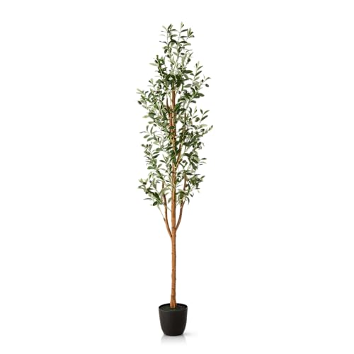 PASCH® Künstlicher Olivenbaum (180 cm) - Stilvoll & Naturgetreu | Künstliche Pflanzen groß | Kunstpflanzen groß: Olive Tree | Olivenbaum künstlich groß für EIN mediterranes Ambiente von PASCH