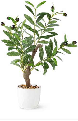 PASCH® Künstlicher Olivenbaum (42cm) in weißem Keramiktopf: Kunstpflanzen wie echt | Künstliche Pflanzen im Topf | Fake Plant: Olive Tree | Olivenbaum künstlich klein | Kunstblumen im Topf von PASCH