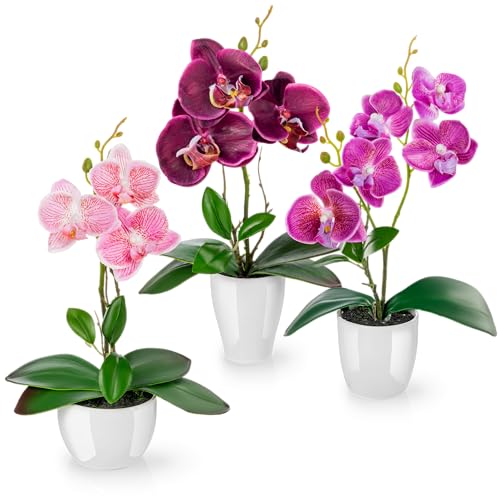 PASCH® Kunstblumen im Topf (35cm) - 3er Set Orchideen künstlich abgestimmtes Arrangement in Hochglanz-Keramiktöpfen, Deko Blumen künstlich, künstliche Orchideen (Lila-Rosé) von PASCH