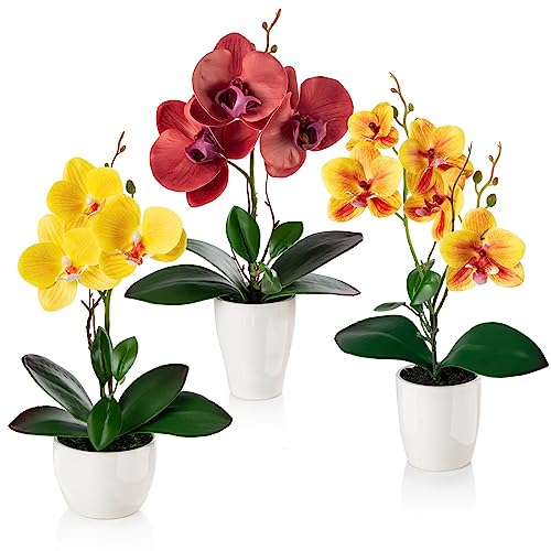 PASCH® Kunstblumen im Topf (35cm) - 3er Set Orchideen künstlich abgestimmtes Arrangement in Hochglanz-Keramiktöpfen, Deko Blumen künstlich, künstliche Orchideen (Rot Orange Gelb) von PASCH