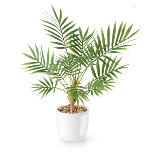 PASCH® Kunstpalme Areca (35cm) in weißem Keramiktopf: Kunstpflanzen wie echt | Künstliche Pflanzen im Topf | Fake Plant | Palme künstlich | Kunstblumen im Topf | Kleine künstliche Palme von PASCH