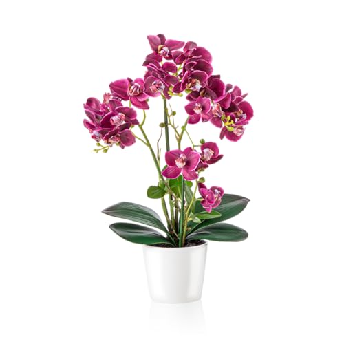 PASCH® Orchideen künstlich in Hochglanz-Keramiktöpfen (46cm) | Kunstblumen im Topf | Kunstblumen wie echt | künstliche Orchideen im Topf (Purpur) von PASCH