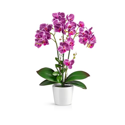 PASCH® Orchideen Künstlich in Hochglanz-Keramiktöpfen (46cm) | Kunstblumen Wie Echt | Künstliche Orchideen im Topf (Lila) von PASCH